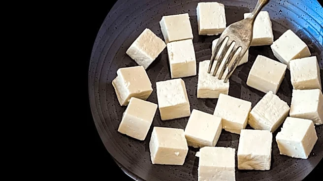 'No Paneer Tag For Analogue Paneer': FSSAI Draft Seeks Clear Rules For Non-Dairy Products
