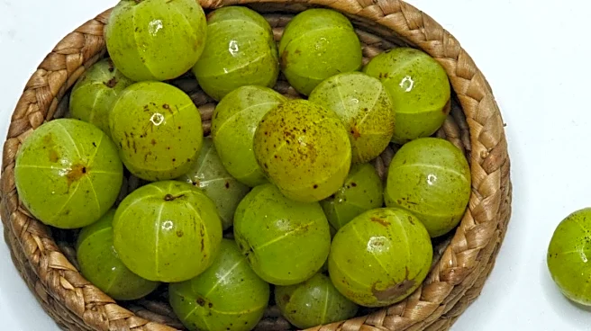 PM Narendra Modi Promotes Health Benefits Of Amla In Mann Ki Baat, Calls It 'Mazedar Bhi, Healthy Bhi'