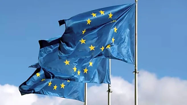 Harsh Winter Ahead: EU Proposes Climate Rules Delay As Energy Prices Remain High