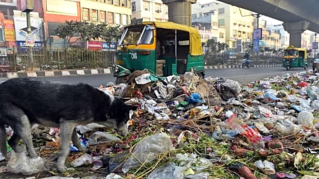 Dust Deadline: Delhi Roads To Be Cleared Of Garbage By October 31 | What Residents Must Note