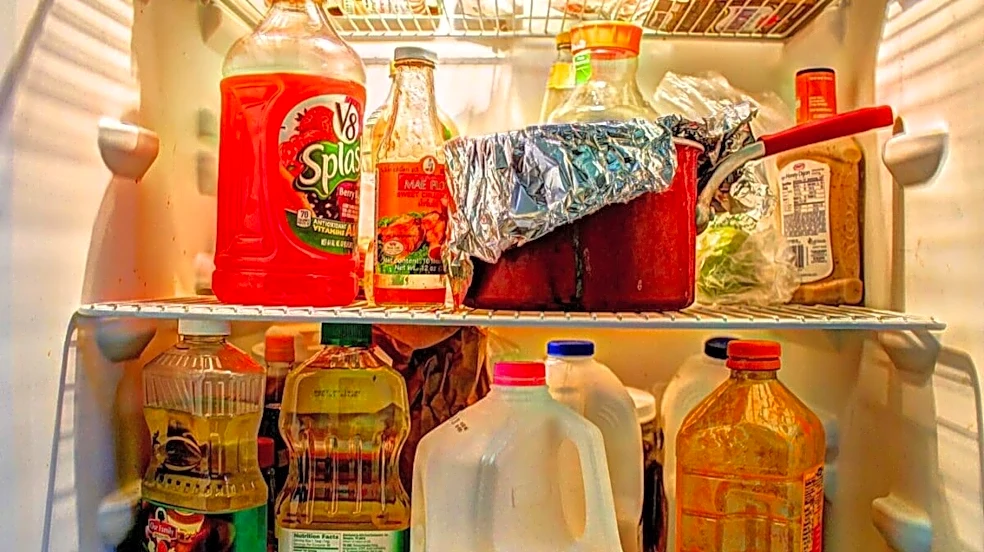 Best Double Door Refrigerators Under Rs. 40,000 For Indian Families This Diwali