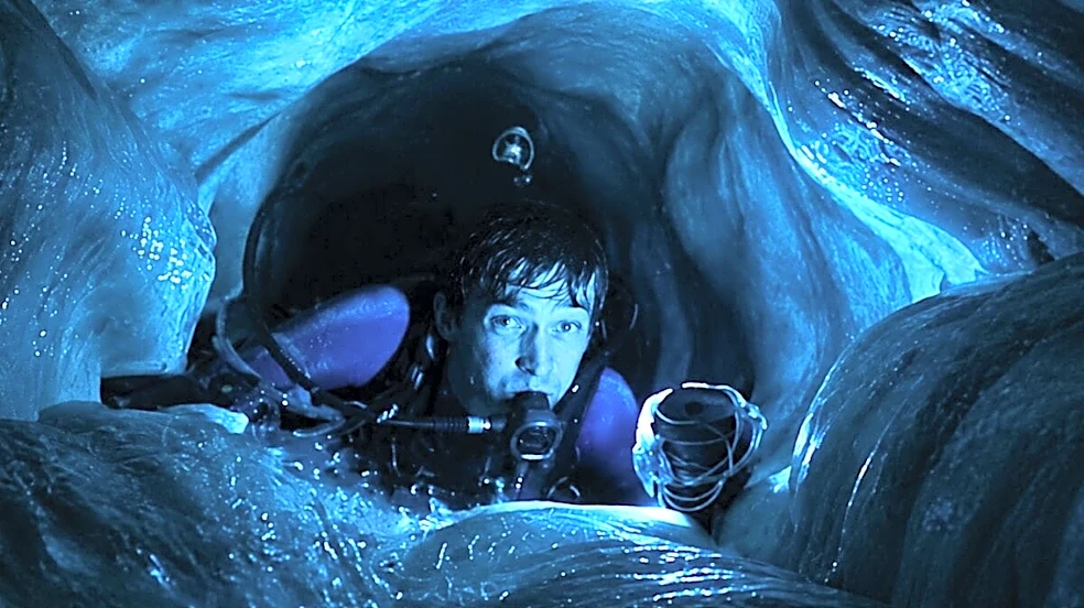Can You Get Swallowed By A Whale And Survive? The Truth Behind Whalefall