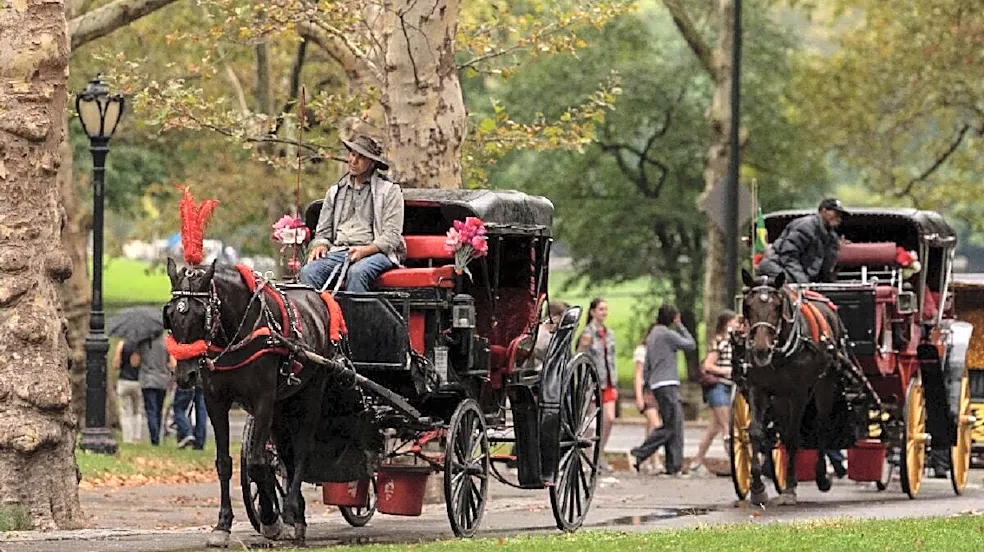 NYC Bans Horse-Drawn Carriage Rides After Death Of Indian Tourist; Trump Says ‘Piece Of History Gone’