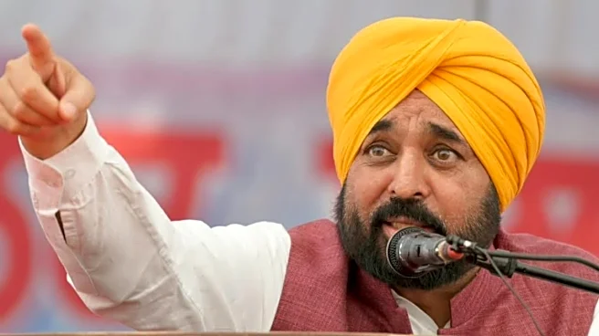Punjab CM Bhagwant Mann Says Over 70,000 Government Jobs Provided On Merit