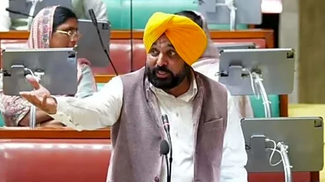 'Kartarpur Sahib Corridor Must Reopen': Punjab CM Bhagwant Mann's Request To Centre