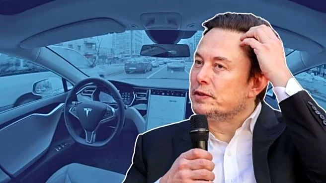 Musk says no automaker wants to use Tesla's self-driving tech