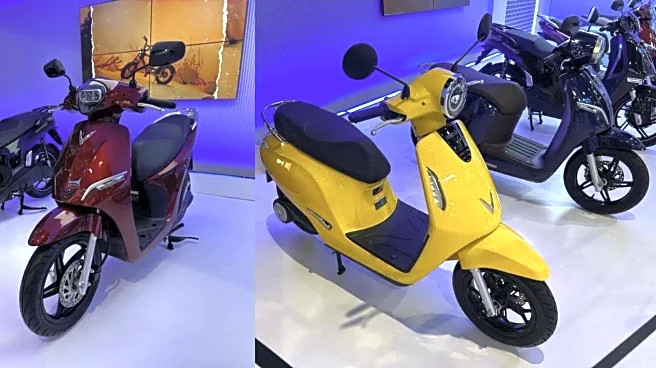You can buy VinFast's electric scooters in India next year
