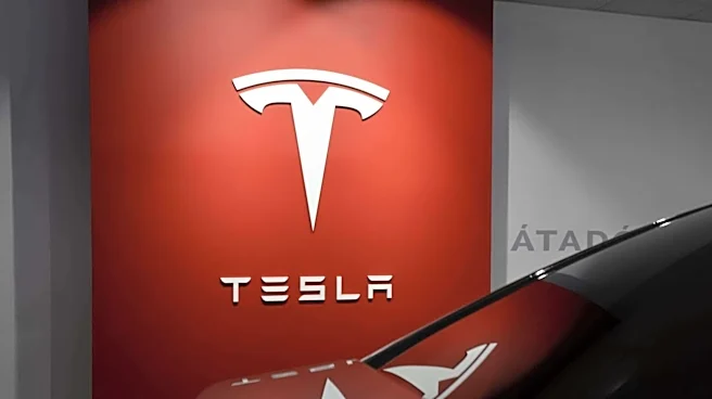 Why EU is skeptical of Tesla's full self-driving technology