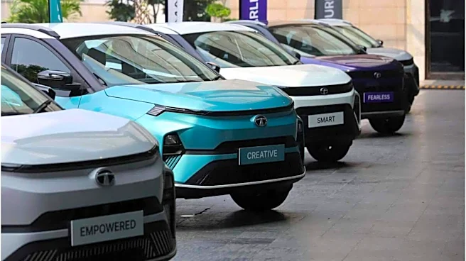 Why Indian automakers are not going all-in on EVs