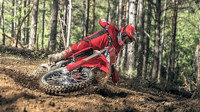 Meet Desmo450 EDS, Ducati's 1st street-legal off-road bike