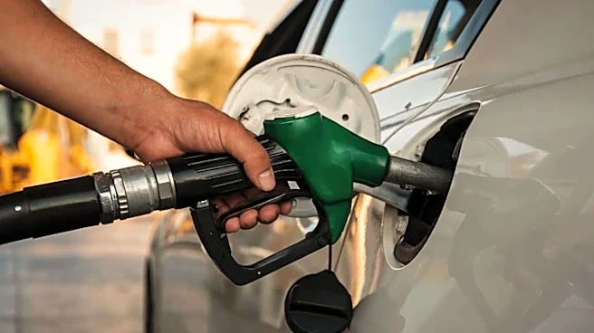 Using E20 fuel won't affect vehicle insurance, says Modi government