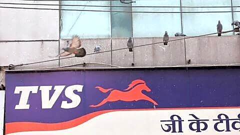 TVS Motor raises R and D to ₹1,254cr for electrification