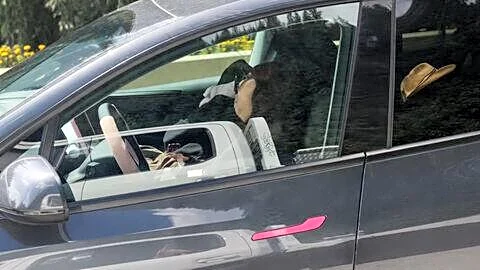 Police probe whether Tesla driver-assist was on in B.C. video