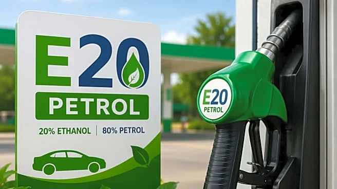 E20 petrol safe for vehicles, government clarifies amid concerns