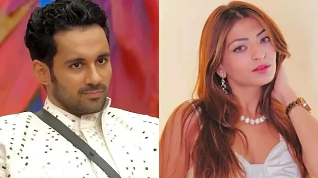 'BB 19's Abhishek Bajaj reacts to ex-wife's cheating allegations