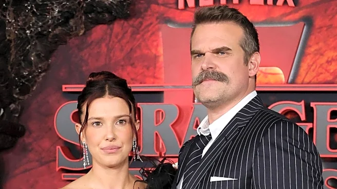 'Everything has changed': David Harbour talks 'Stranger Things' impact