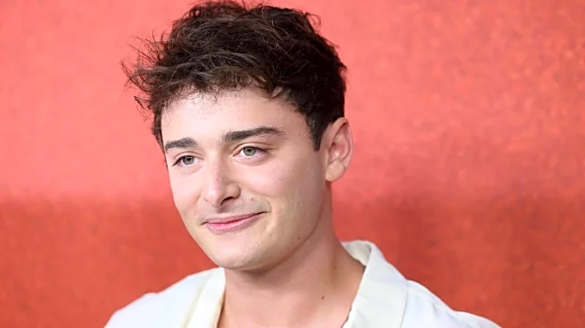 'It's hard': Noah Schnapp says child actors need therapy