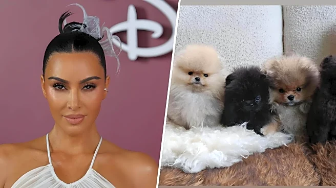 Kim Kardashian faces PETA backlash for gifting puppies to kids