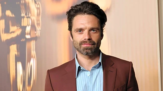 Sebastian Stan to play Harvey Dent in 'Batman Part II'