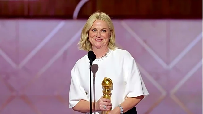 Golden Globes: Amy Poehler wins inaugural Best Podcast award