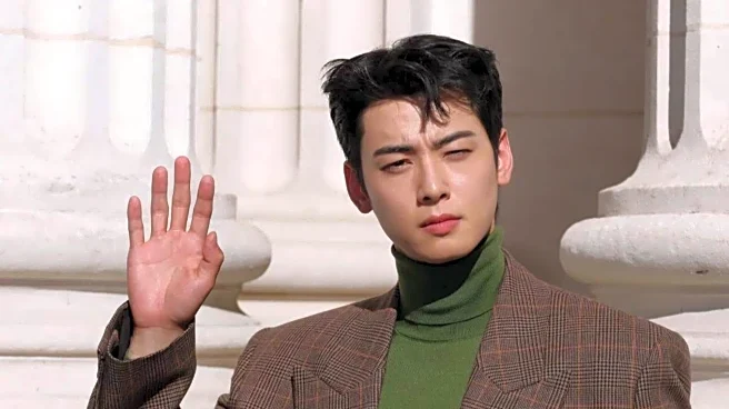 Cha Eun-woo's tax evasion case: Everything we know so far