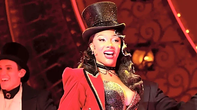 Why was Megan Thee Stallion suddenly hospitalized during Broadway show?