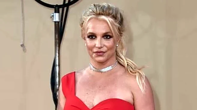 Britney's sons played 'big part' in getting her into rehab