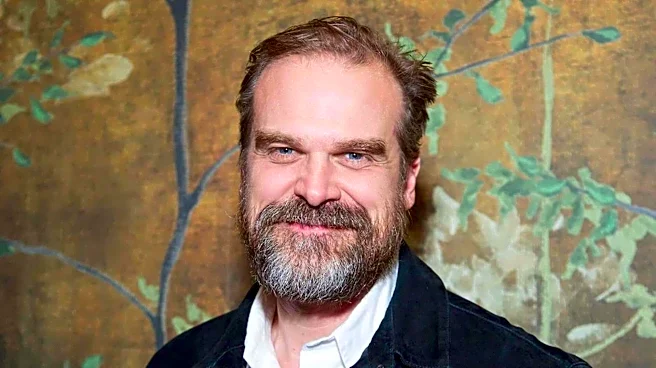 'Stranger Things' star David Harbour joins 'John Rambo' cast