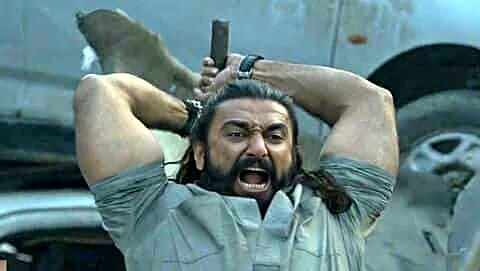 Singh's 'Dhurandhar: The Revenge' reaches ₹960cr in India after discounts