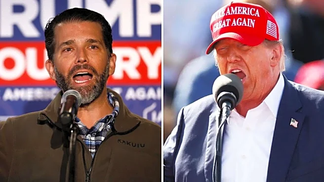Trump Jr to host 'Apprentice' reboot? He has dad's vote
