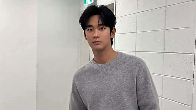 YouTuber arrested for using AI evidence against actor Kim Soo-hyun