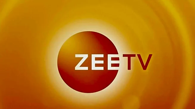 Zee TV strikes gold with strongest viewership in years