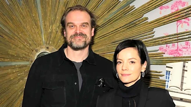 'Wasn't my experience': David Harbour reacts to Lily Allen's album