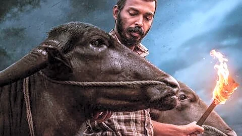 Shetty teases 'Karavali' release for July 24 2026 on Instagram