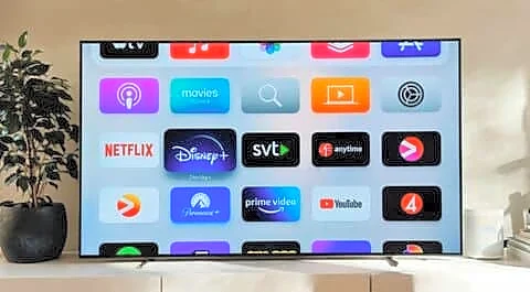 Streaming platforms ramp up reality programming this festive season