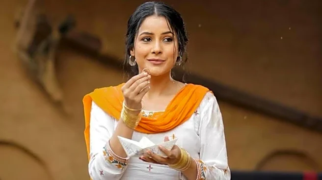 Why Shehnaaz Gill prefers Punjabi film industry over Bollywood