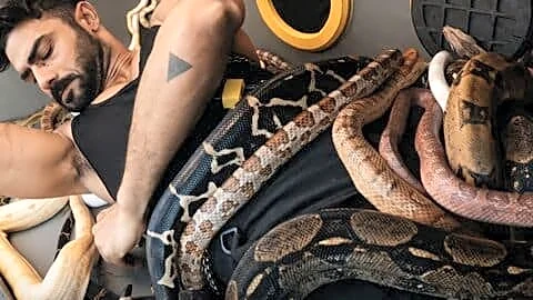 Singh eliminated from 'Khatron Ke Khiladi 15' hosted by Shetty