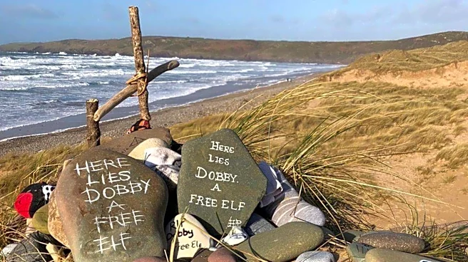'Harry Potter' fans reroute power cable to save Dobby's grave