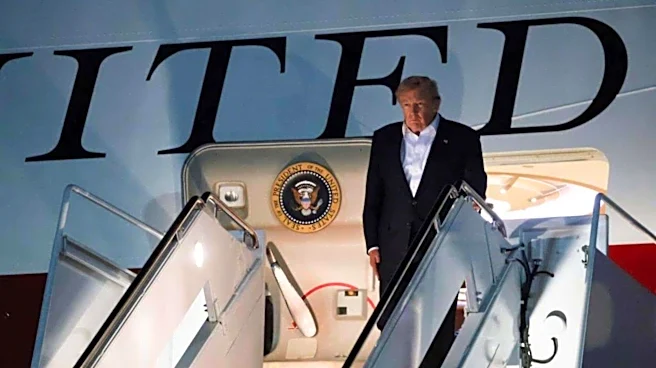 'Instadocs: The Decoy Plane': Netflix unveils Trump documentary