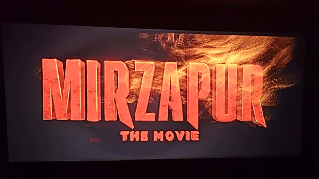 Will we get a sequel to 'Mirzapur: The Movie'?