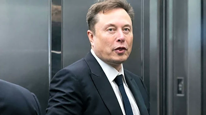 Is Elon Musk a hero or villain? New documentary explores