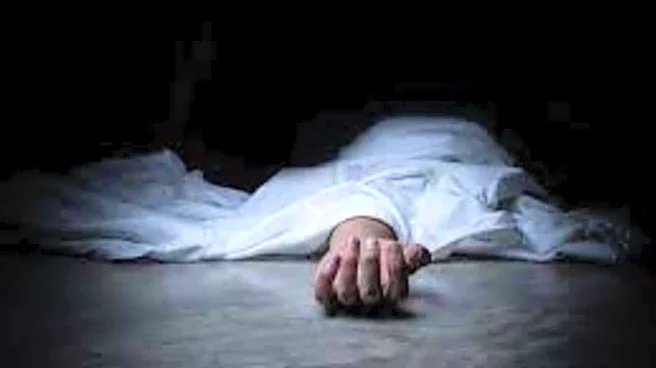 Stressed over SIR-related workload, man jumps in front of train