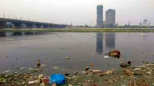 Delhi HC forms three-member panel on Yamuna pollution, rebukes agencies