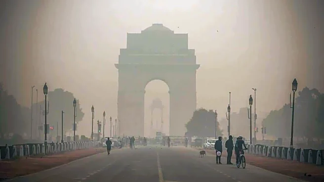 What's making Delhi's air so toxic?
