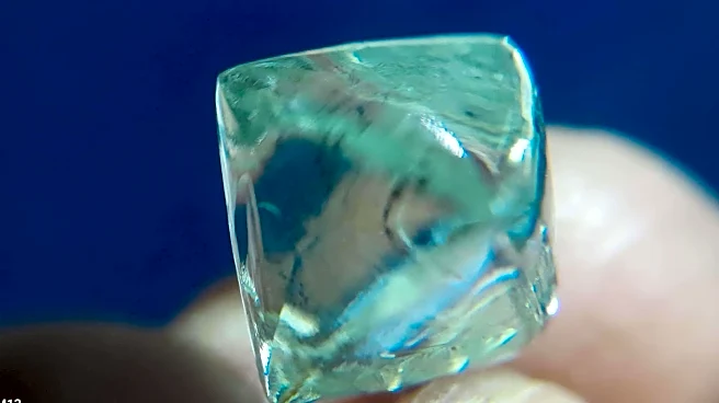 Two childhood friends in MP discover diamond worth ₹60L