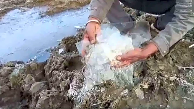 Rajasthan's Mount Abu shivers at -7°C, water bodies freeze