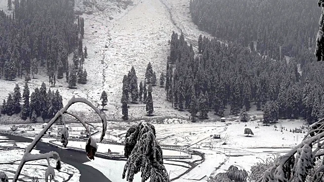 J&K: Security forces expand search to hunt down terrorists