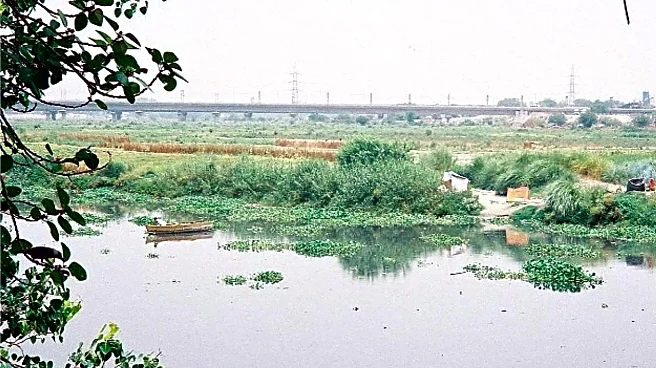Haryana, UP to divert Ganga, Munak water to revive Yamuna