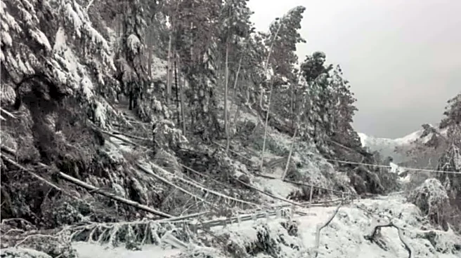 Western disturbance triggers avalanche alert in Uttarakhand