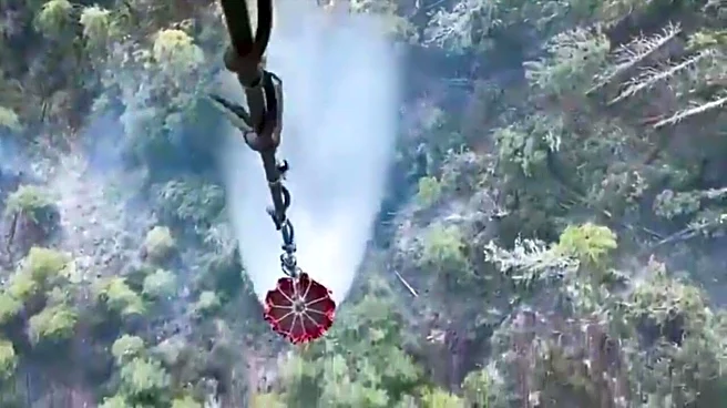 Video: IAF choppers battle forest fire in Arunachal at 9,500ft